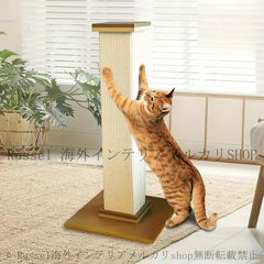 Item thumbnail for item 38bfde79-3531-46cf-8510-3e9dc12ae66d