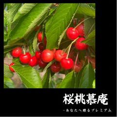 shop-thumbnail
