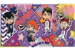 【中古】収納・携帯用アイテム 集合 チケットホルダー 「ハイキュー!! 烏野高校 VS 白鳥沢学園高校」 マーガレット 2016年21号付録