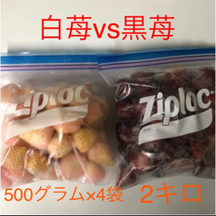 いちご　黒苺vs白苺　冷凍2キロ