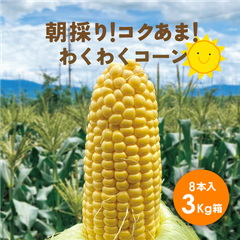 7月26日以降発送！【朝採りコクあま】「わくわくコーン8本3キロ箱使用7月26日以降～」長野県産 安曇野 信州産 産地直送