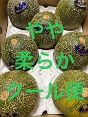 アムスメロン Mサイズ 箱込5.2キロ程度 千葉県産