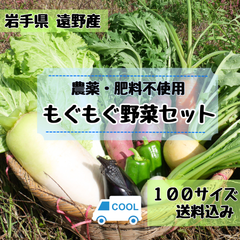 \\80サイズの約２倍 野菜の味が濃い//野菜セット 野菜詰め合わせ 100サイズ《農薬・肥料不使用》【クール】