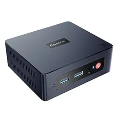 レオパードフラワーブラック Beelink SEi12 proミニPC Kit 未使用に