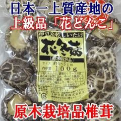 ★フォロワー1000人記念★日本一の上質産地★伊豆産原木栽培の上級花どんこ値下げ