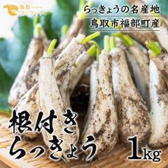 初物❗️鳥取県産 農薬不使用 砂丘らっきょう らっきょう - メルカリ