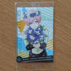 Ａ３！ ( エースリー ) SUMME TROUPE 【 夏組 】 向坂椋