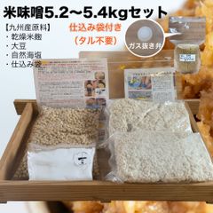 (袋付)　味噌作りセット 米味噌5.2～5.4kg　仕込み袋付き 2倍麹甘口