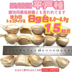 希少　平戸種　8g台　8.0〜8.9g 15燐片(粒) 暖地用　にんにく　にんにくひめ