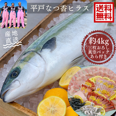 青空レストランでも紹介！平戸なつ香ヒラス（約4kg）三枚おろし 真空パック