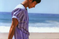 SEVENTEEN Al1 DK ポストカード