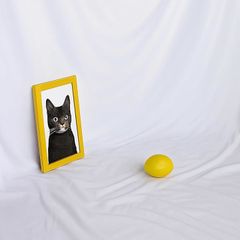 Item thumbnail for item 82820dba-03cc-4e7a-8983-cf37c07ac665