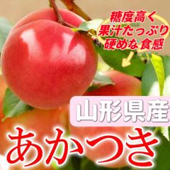 福島県産　あかつき　桃　桃の親元　もも　モモ　60サイズ箱満杯