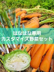 はなはな様専用カスタマイズ野菜セット