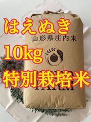 はえぬき　10kg 特別栽培米　山形