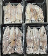 【生食用】急速冷凍 剣先いか・白いか 3杯入×4pc(p/約550g)
