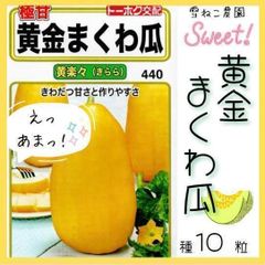 【野菜の種】甘さの極み！サクサク美味しい「黄金まくわ瓜」種１０粒　2025年種入荷！