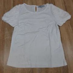 美品。M-PREMIER COUTURE。カットソー。ホワイト。36サイズ。