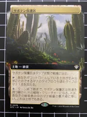 Mtg シングル: 　サボテン保護区　サンダージャンクション