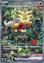 タケルライコ　ウガツホムラ　SARセット 2025年最新】ウガツホムラex sarの人気アイテム - メルカリ