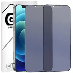 【迅速発送】【ブルーライトカット＆アンチグレア＆覗き見防止】【2枚セット】 iPhone SE4 / 14 / 13 / 13 Pro 用 強化 全面保護 フィルム さらさら感 アイフォンSE2025 /14 / 13 / 13 Pro 覗き見防止 プライバシ