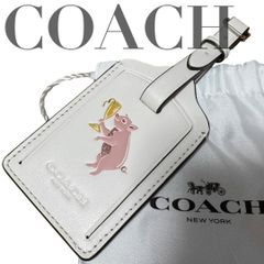 Item thumbnail for item b4f5f298-dae9-4034-a326-ba045501122f