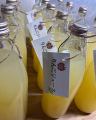 青森りんご100%ジュース  いつもの＆無添加 2本飲み比べセット