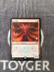MTG 叫ぶ宿敵 日本語3枚セット Amazon.co.jp: 【ボーダーレス版】マジックザギャザリング DSK