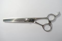 Item thumbnail for item 4721bfee-34fc-4c91-89c4-50858cdc868c