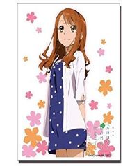 [중고] [매우 좋은] 부시로드 슬리브 컬렉션 HG (하이 그레이드) Vol.593 극장판 그 날 본 꽃의 이름을 우리는 아직 모른다. [안성 나루코] rdzdsi3