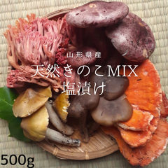 天然 きのこ ミックス 塩漬け 500g 以上 塩蔵 茸 キノコ 山形県産 国産 2024年産 令和6年産