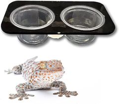 Item thumbnail for item a1260d25-f61a-4835-9bab-d0894aa23cab