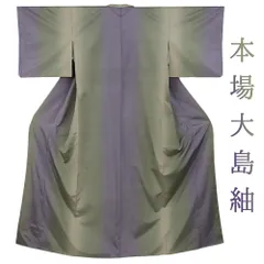 中古 本場 大島紬 着物 リサイクル 正絹 縞大島 友禅染 紫 緑 縦ぼかし 手染め カジュアル お洒落 身丈156.5cm 裄63cm Mサイズ No.3-0589