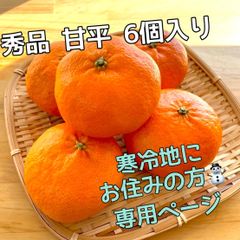 愛媛県産　秀品　甘平　6個　寒冷地の方向け