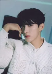 【中古】コレクションカード(男性) 023：SEVENTEEN/ドギョム(DK)/「SEVENTEEN TOUR ’FOLLOW’ AGAIN TO JAPAN」フォトカード