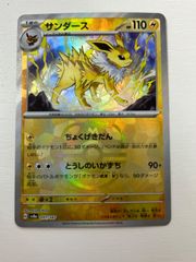 サンダース マスターボールミラー ポケモン