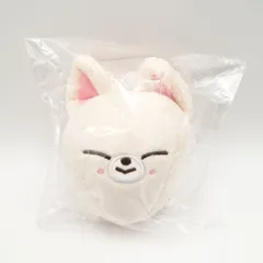 Stray Kids アイエン BAG CHARM  新品未開封 FoxI.Ny 5-STAR Dome Tour 2023 ドームツアー SKZOO フォクシニー バッグチャーム