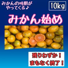 みかん始め　10kg