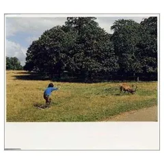 2026年最新】中村一義―の人気アイテム - メルカリ