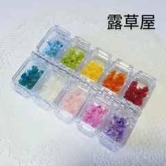 ●シンプル少量 スターフラワーミニ マルセラ 10色 100個 ケース入り●