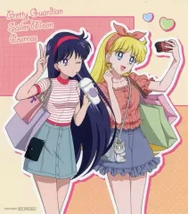 【中古】雑貨 火野レイ＆愛野美奈子 ミニアートパネル 「劇場版 美少女戦士セーラームーンCosmos×ナムコキャンペーン」 第1弾クレーンゲームプレイ特典