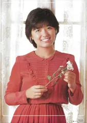 ⭐︎榊原郁恵　グラビアパネルポスター⭐︎当時もの③ ⭐︎榊原郁恵 グラビアパネルポスター⭐︎当時もの③ タレントグッズ