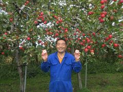 赤～いりんごとマカとかのお店