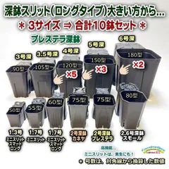 プレステラ深鉢スリット鉢＊大きい方から3サイズ：120型×5鉢＋150型×3鉢＋180型×2鉢⇒合計10鉢＊多肉植物・塊根植物コーデックス・アガベ・サボテン・盆栽・観葉・ハオルチア・アデニウム・パキポディウム＊グラキリス・実生＠フラワーショップ江口のサムネイル