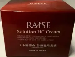 2025年最新】レイズソリューション hcの人気アイテム - メルカリ
