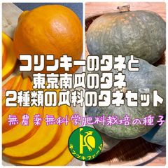 コリンキーの種子10粒と東京（南瓜）カボチャの種子10粒　有機の種子