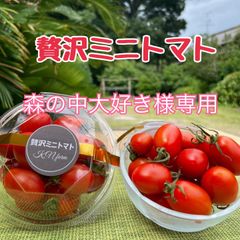 【森の中大好き様専用】贅沢ミニトマト4パック