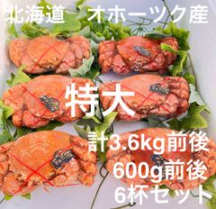 ラスト！【北海道オホーツク産】 毛蟹600g前後×6杯セット　計3.6kg前後