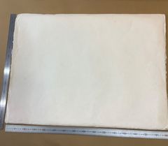 Item thumbnail for item 92c01b90-0e0d-4691-a8c8-63c8016392a5