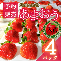 【予約販売商品】【減農薬】福岡県産あまおういちご 4パック (1140g)